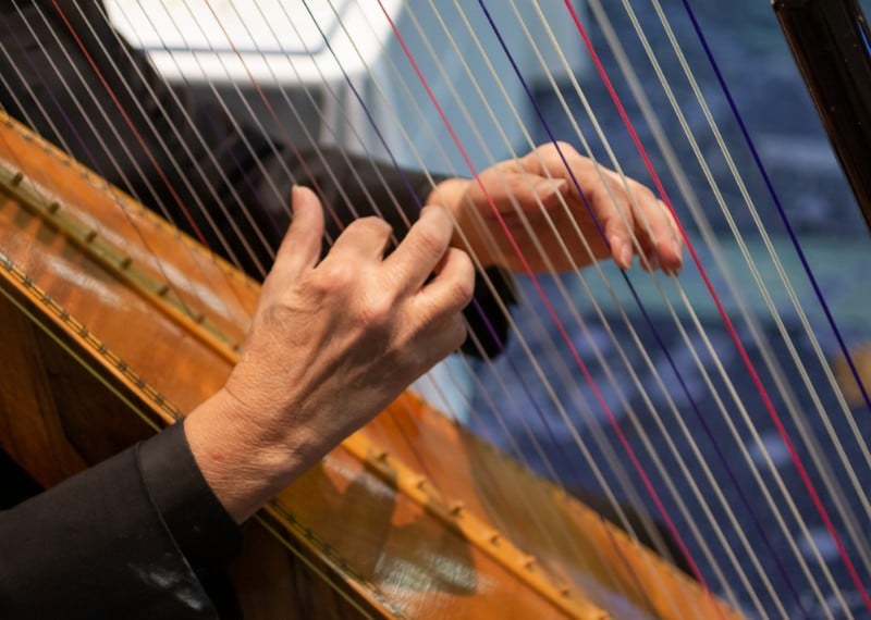 person playing a harp