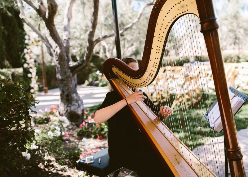 woman playing a harp